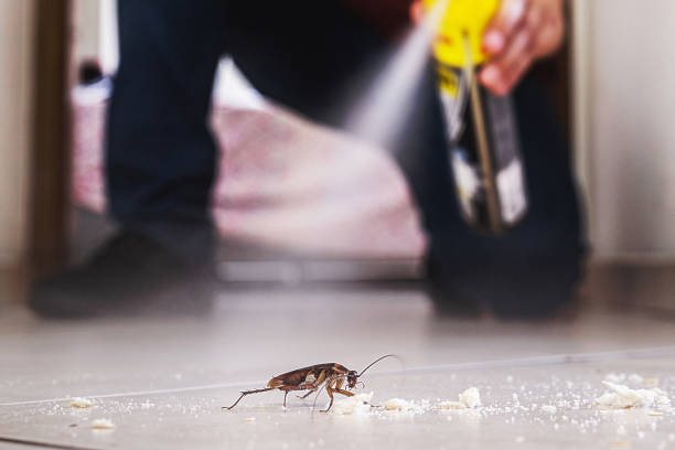 Trusted Vernon, WI Pest Control Experts